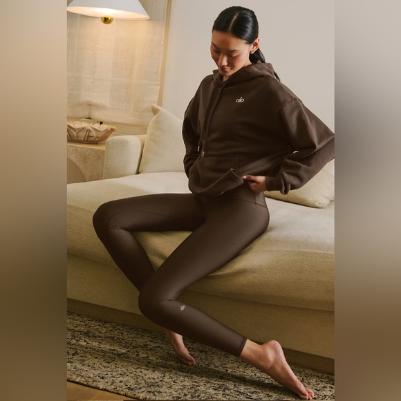 NWT Alo Accolade Hoodie in Espresso - Picture 3 of 6